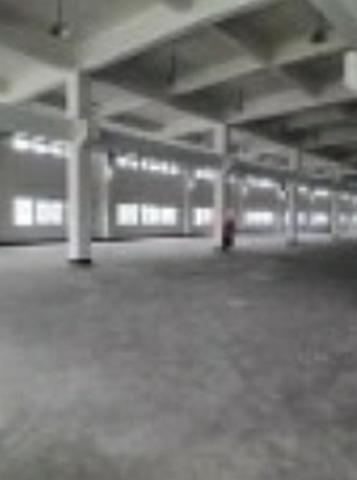 出租太仓独院厂房26000平方