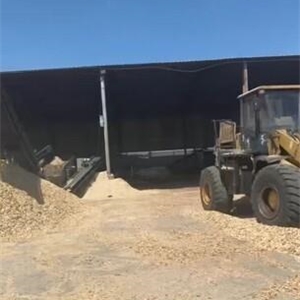 求租太仓港打木片场地10亩