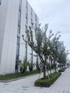 上海周边太仓厂房租售7000平方